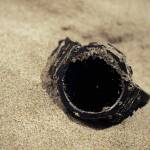 Amazfit T-Rex 3 Onyx - imagine 10