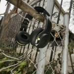 Skullcandy Icon ANC Wireless ON-EAR True Black - imagine 7